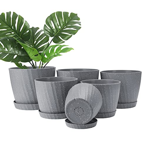 Plant Pots Indoor, 6Pack Plastic Plant Pots 19/17.5/16.5/15.5/14/11.5cm, Flower Pots Outdoor Self Watering Indoor Plant Pot with Drainage Holes and Tray, Plastic Planter for Garden House Plants(Grey) Plant Pots Indoor, 6Pack Plastic Plant Pots 19/17.5/16.5/15.5/14/11.5cm, Flower Pots Outdoor Self Watering Indoor Plant Pot with Drainage Holes and Tray, Plastic Planter for Garden House Plants(Grey)