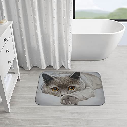 Cat Bath Mat Diatomaceous Earth Rug Super Absorbent Non Slip Quick Dry Bathroom Kitchen Doormat 16"X24" #TOP2