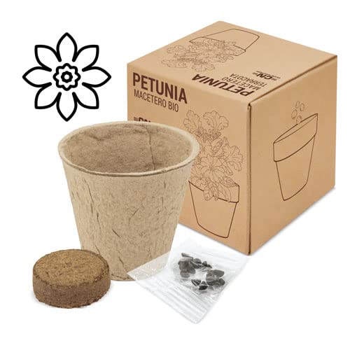DISOK - Lote 15 a 60 Macetas Biodegradables con Semillas. Detalles ecológicos para bodas, regalos biodegradables boda, bautizos y comuniones. (30)