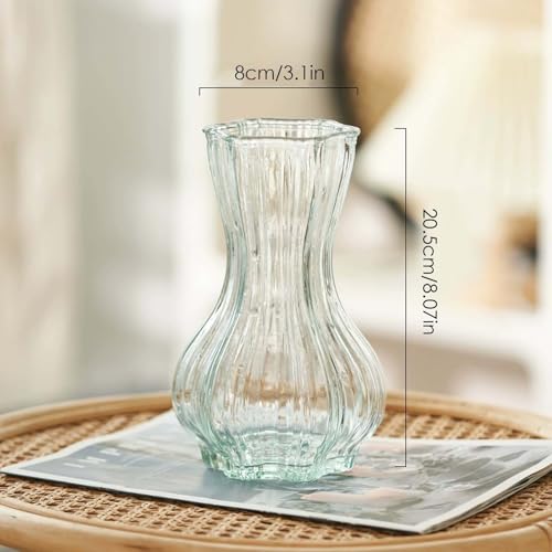 Vase en Verre Transparent 20,5cm,Vase à Fleurs Décoration Vases en Verre pour Tulipe, Grand Vases pour Décoration de Table Ou de Halloween Noël Mariage La Maison, Bureau Fête – Image 3