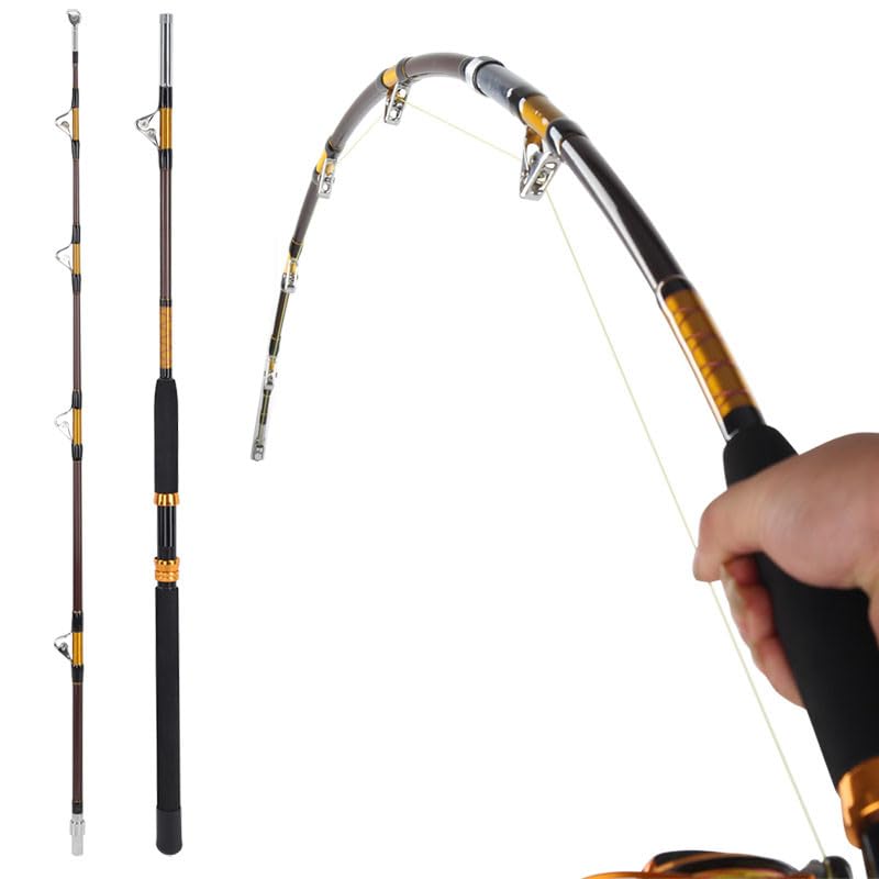 Canne à pêche de 1.65/1.8/2.1 m à la traîne en mer...