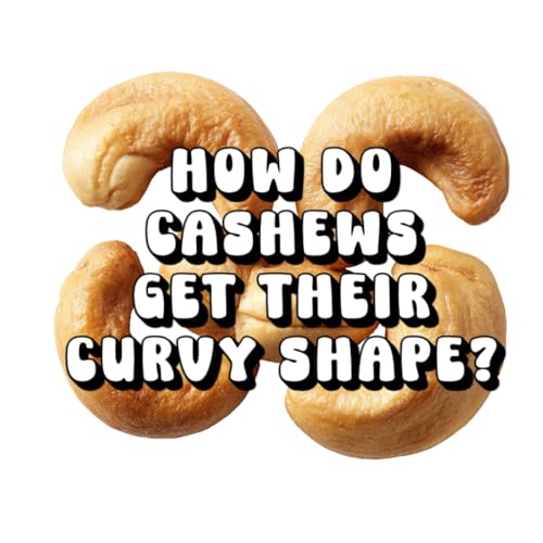 How Do Cashews Get Their Curvy Shape?