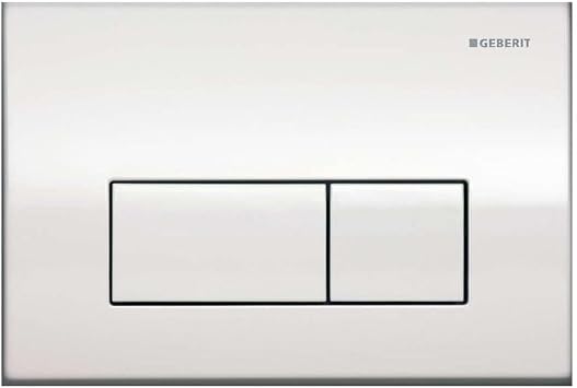 Geberit 115.260.21.1 Kappa50 Dual-Flush Actuator, Polished Chrome