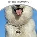 Kichvoe 2pcs Metal Pet Bells with Quick Clips for Dog Cat Collars Tiny Charm Bells for Pet Tracking and Training Accessories for Collar Pendant Use