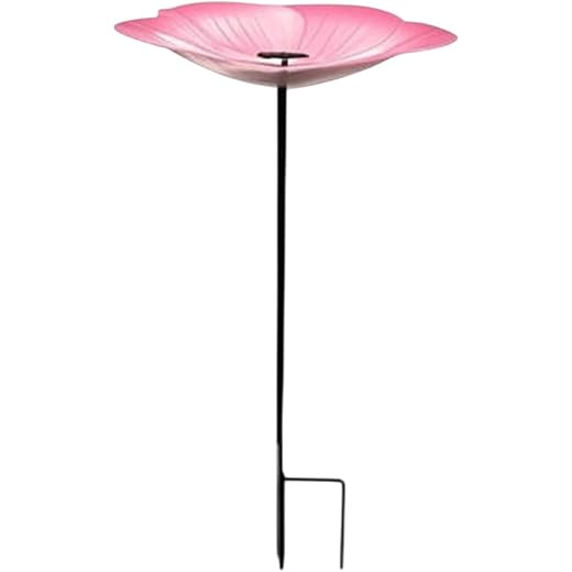 Bird Bath Bowl Decorative Outdoor Feeder Pink