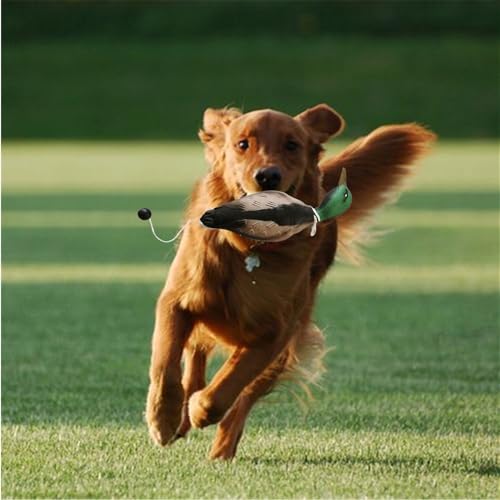 Dummy Ente Hundetraining,hund Retrieve Schnuller,verschleißfest Und Bissfest, Wasserdicht Und Schwimmfähig, Robust Und Langlebig，geeignet Für Die Ausbildung Von Welpen Oder Erwachsenen Jagdhunden
