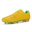 Yellow/Green