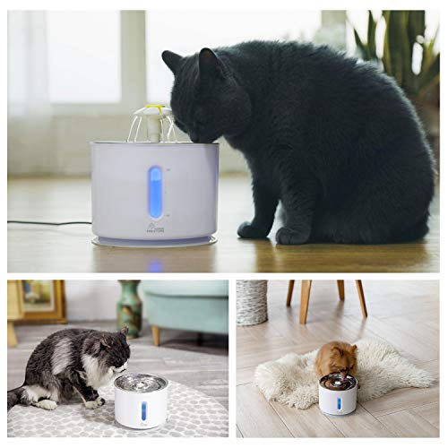 Cat Water Fountain Stainless Steel, 81oz/2.4L, Intelligent Pump with LED Indicator for Water Shortage Alert, Water Level Window