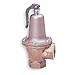 Safety Relief Valve, 1-1/4x1-1/2 In, 30psi