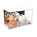 Better Display Cases Versatile Acrylic Display Case - Medium Rectangle Box with Mirror Case, Orange Risers and Clear Base 15