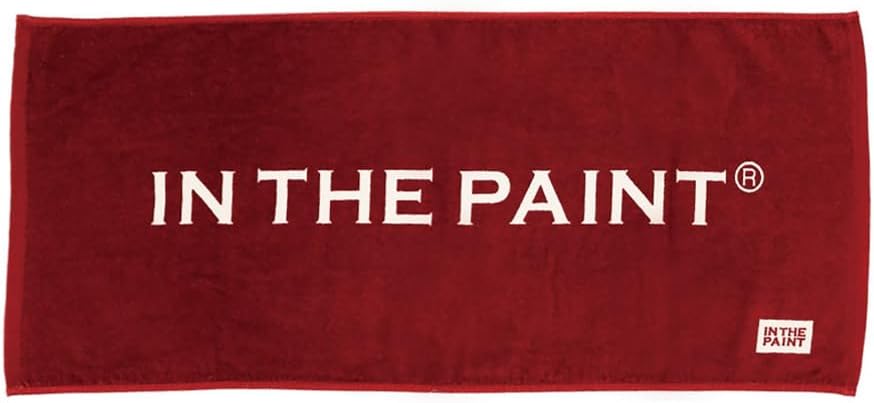 インザペイント IN THE PAINT