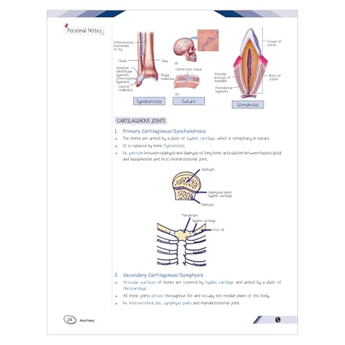 Image of PW MedEd 1st Prof MBBS Notes | Combo Set of 3 Books (Anatomy, Biochemistry, Physiology)