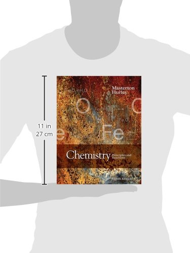 Chemistry: Principles and Reactions - Image 3