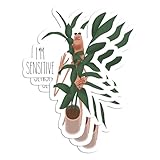 (3PCS) Marcus The Worm Where is Jimbo James Meme Stickers for Men Women, Vrchat Trending Sticker for Cars, Laptop, Scrapbook, and Water Bottles, Made in The USA, Waterproof 3 (Design 7)