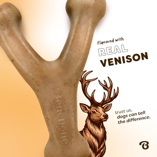 Image of Benebone Wishbone Dog Chew Toy for Aggressive Chewers, Venison, Medium