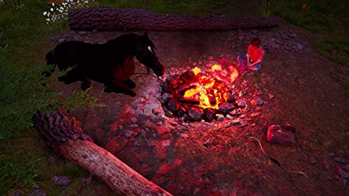 Whisper: Ari, La cavalière intrépide pour Nintendo Switch