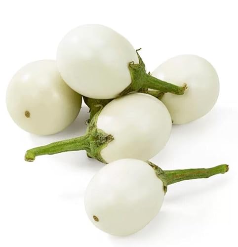 Eggplant White Egg Japanese 20 Seeds Vegetable Garden Summer Aubergine