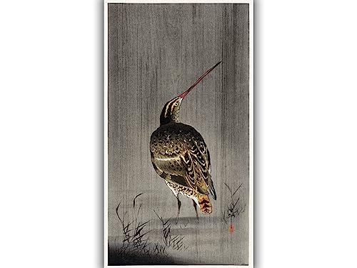 Bécassine sous la pluie Ohara Koson impression sur toile M tableau japonais oiseau