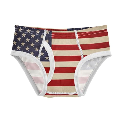 ALAZA Old American Flag Boys' Briefs Soft Underwear Available in Sizes 2t-8y