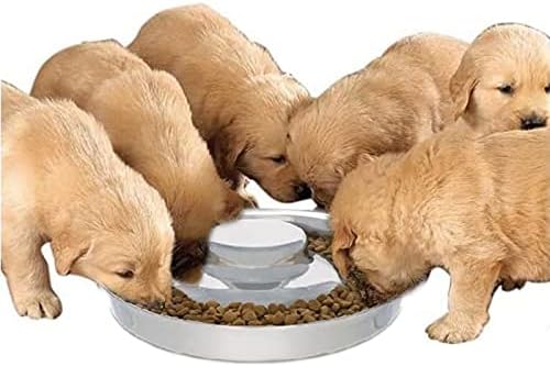 Stainless Steel Puppy Dog Bowls,Dog Bowl Puppy Litter Food Feeding Weaning,Slow Feed Steel Dog Bowl,Slow Feeder Dog Bowls,Dog…