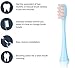 Aiyabrush Electric Toothbrush Replacement Brush Heads, 2 Pack,Blue