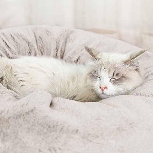 image for EXQ Home Calming Cat Bed,Fluffy Cat Beds for Indoor Cats,Machine Washa
