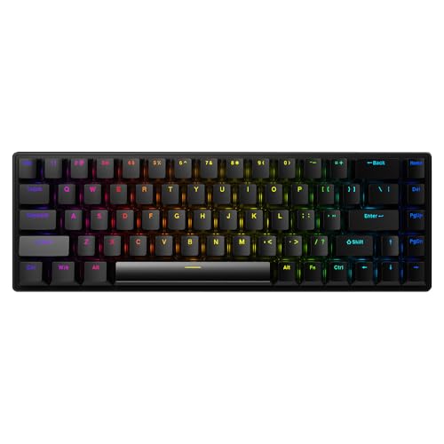 Docooler Teclado mecánico de 68 Teclas Diseño de 68 Teclas Acceso Directo FN Anti-Ghosting Completo Retroiluminación Colorida Múltiples 10 Modos de iluminación Cable Desmontable Teclas de inyección