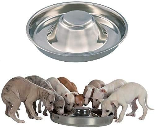 King International Stainless Steel Dog Bowl,12 '' Large, 32 cm, Puppy Bowls,1 Puppy Puppy Food Bowl,Dog Bowl for Medium Large Dogs Bowls…