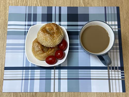 Silicone Place Mats Indoor Dining.placemats Set Of 2，Highly Efficient Heat Resistant Mat ，Thermal Insulation ，Anti-Skid Function，Flower Pattern Style Desig：sunflower Rainbow，Roses，Plaid (Gery) #TOP1