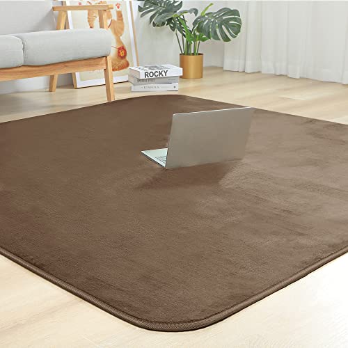 【Amazon.co.jp 限定】 チチロバ(TITIROBA) ラグ カーペット ラグマット 2畳 防ダニ 抗菌防臭 洗える 滑り止め 夏用 オールシーズン 床暖房 ホットカーペット対応 北欧 ブラウン 185×185cm