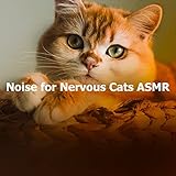 ASMR Audio 2022