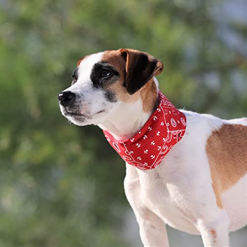 N[lbNohdwi\tgۗܓj o_ibhXL