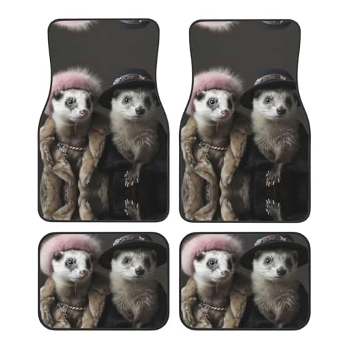 Tapis de voiture motif furets fini les taches de boue dans votre habitacle