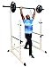 TDS Power, Squat & Open Rack Station, with Solid Steel Safety Bars, 1.25