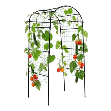 garden trellis for tomatoes
