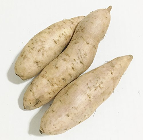 Fresh Purple Sweet Potatoes-2LBS