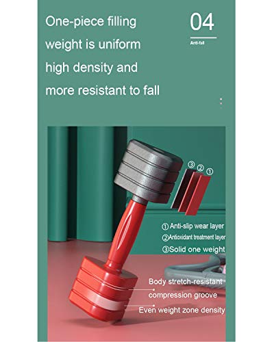 Dumbbells Hand Weights Non-Slip Dumbbells Fitness Hand-Held Weights For Women Non-Slip Grip All-Purpose Small Dumbbell… - Afbeelding 6