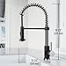 VIGO Edison 19'' H Single Handle Pull-Down Sprayer Kitchen Faucet in Stainless Steel and Matte Black-VG02001STMB