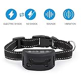 Favorite Collapsible Cat Tunnel Removable Bed Cushion Fun Play Kitten Toy Tube With Ring Bell Ball