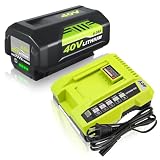Enermall 1Pack 6.0Ah Replacement for Ryobi 40V Battery Lithi...