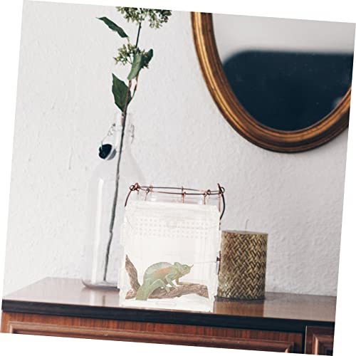 Balacoo 3 Pcs Reptile Feeding Box Clear Container Tarantula Supplies Mini Animals Snake Feeding Box Cage Tank Transparent Feeding Box Transparent Breeding Box Case For Reptile Reptile Case #TOP6