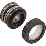 Pentair 354545S Seal Set