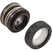 Pentair 354545S Seal Set