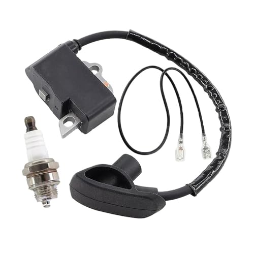Bobine d'allumage 4244 400 1307 bougie pour atomiseur SR430 SR450 et BR350