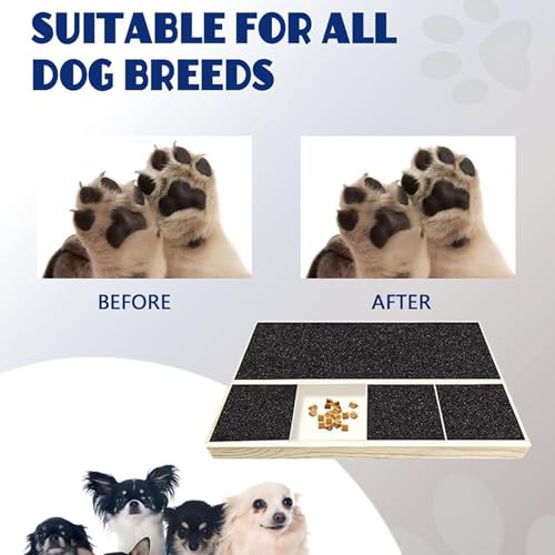 Planche à gratter pour les griffes du chien avec tapis interactif