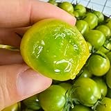 semi di pomodoro ciliegino - giardino biologici decorativa 500pcs