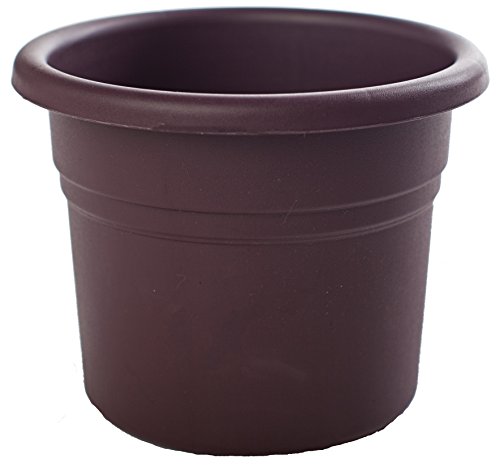 Bloem PP0856 Posy Planter, 8-Inch, Exotica