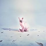  If You\'re Single, I\'m a Humbucker [Explicit]