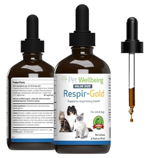 Herbal Respiratory Support for Cats