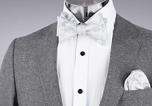 Image of Alizeal Mens Paisley Adjustable Bow Tie Set | Pre-tied Cummerbund Pocket Square Perfect for Weddings Business Formal Events